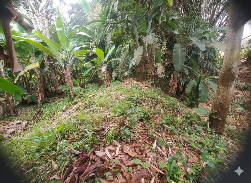 whatsapp image 2025 09 19 at 10.55.28